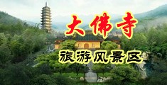 大鸡巴操大鸡巴的高清免费在线视频中国浙江-新昌大佛寺旅游风景区